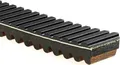 CVT Antriebsriemen 29G3596 GATES