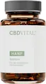 Immun Kapseln - für ein belastbares Immunsystem | Mit Zink, Vitamin D, Vitamin C, Selen, Hanfprotein, Holunder, Sternanis, Cistus, Ingwer u.v.m. | 60 Kapseln