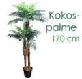Kunstpalme Kunstpflanze Kunstpalme Palme Palmenbaum Künstliche Pflanze Auswahl Königspalme / Kokospalme, Decovego, Höhe 170 cm