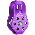ALPIDEX Seilrolle Umlenkrolle 22 kN - Fix Pulley Flaschenzug - geeignet für Textilseile bis 13 mm Durchmesser - EN12278, Farbe:lila