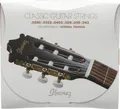 Ibanez ICLS6NT Saiten für Konzertgitarre Classic Guitar Strings
