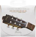IBANEZ ICLS6NT Classic Guitar Normal Tension E1-E6