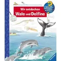 Ravensburger Wieso? Weshalb? Warum? 41: Wir entdecken Wale und Delfine 32775 1 St.