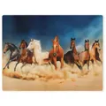 Bedruckte Kuscheldecke Wüste Pferd Decke Flauschig Weich Fleecedecke 150x200 cm