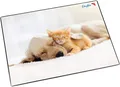 Läufer 46657 Schreibunterlage Hund und Katze, 400 x 530 mm