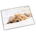 2 bis 20x Läufer Schreibunterlage Hund und Katze, 400 x 530 mm SPARE BIS ZU 29%