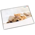 Läufer Schreibunterlage Auflage Katze Hund 40x53cm mit Einsteckfach Schreibtisch