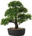 Realistischer Kunstbonsai Zeder - Pflegeleichte Dekoration für alle Jahreszeiten