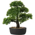 Künstliche Pflanze Bonsai Zeder Kiefer Podocarpus mit Keramik-Übertopf Schwarz
