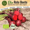 Rote Beete Samen (BIO) - 125 Samen Gemüsesamen Rote Bete Samen Egyptische
