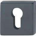 AnsaPro Rosettenpaar Thelon mit PZ-Lochung 37 mm - 42 mm Edelstahl Schwarz