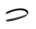 Keilrippenriemen 1135Mm für Audi Ford Renault Citroen Dacia Honda KIA 93-15