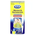 Scholl Warzen & Dornwarzen Behandlungsstift, 2g (1er Pack)