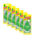 6x WUNDERBAUM Duftbäumchen GRÜNER APFEL  Lufterfrischer air freshener 1er Pack