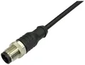 BKL Electronic 2702025 Sensor-/Aktor-Anschlussleitung M12 Stecker, gerade 5m Polzahl Sensoren: 4.5 1