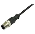 BKL Electronic Steckdose BKL Electronic 2702025 Sensor-/Aktor-Anschlussleitung M12 Stecker, ger, 2702025