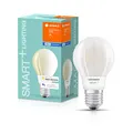 Ledvance Smarte LED Lampe für Smart Home, Warmweiß, 2 kg (1er Pack)