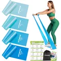Fitnessbänder Set 4er Widerstandsbänder 2 Meter Übungsposter