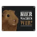 Metallschild mit Meerschweinchen Motiv und Spruch: Hier wachen wir!