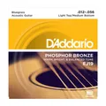 D'Addario A-Git.Saiten EJ19 12-56 Phosphor Bronze