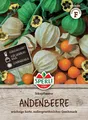 Andenbeere (Physalis) Inkapflaume, Stark wüchsig, Kübelgeeignet für Gewächshaus