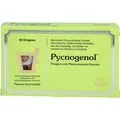 Pycnogenol Kiefernrindenextrakt Pharma Nord, 60 St. Tabletten