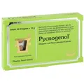 Pycnogenol Kiefernrindenextrakt Dragees