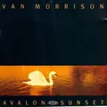 Avalon Sunset (CD) Van Morrison