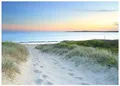 Fototapete Strand Meer Nordsee Dünen Natur 150x105 cm - inkl. Kleister - für Wohnzimmer Schlafzimmer Flur Modern Vlies Tapete Vliestapete Wandtapete Motivtapeten