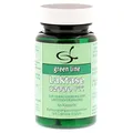 Laktase 12.000 FCC Kapseln