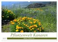 Pflanzenwelt Kanaren (Wandkalender 2025 DIN A2 quer), CALVENDO Monatskalender