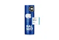 COSMOS LAC Sprühflasche COSMOS LAC DIY Acryllack Sprühdose - RAL Collection Matt