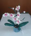 LEGO Botanicals: Orchidee (10311)