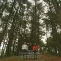 Constant Smiles - Moonflowers Milky Clear Vinyl Edition (2025 - US - Original)