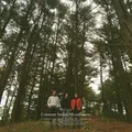 Moonflowers (Milky Clear Vinyl) | Constant Smiles | Vinyl / Schallplatte | 2025