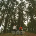 Constant Smiles - Moonflowers - Clear [New Vinyl LP] Clear Vinyl, White