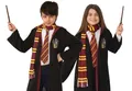Rubie's Official Harry Potter Schal Kostüm für Buchwoche, Kinderkostüm Oufit-Zubehör, Farbe sortiert