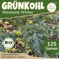 Little Plants BIO Grünkohl Samen 125 Grünkohlsamen Westland Winter Gemüsesamen Samenfest für Gemüsegarten