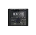 Blaupunkt Blaupunkt BPA 3022 M Camper Radio DAB+ Tuner, inkl. Fernbedienung Autoradio