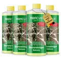 ABACUS Steinreiniger Extrem, Flechtenentferner, Steinreiniger Intensiv außen Grünbelagentferner (Entfernt sofort Algen, Schmutz Grünbeleg und Flechten, [- 4x1000ml Steinreiniger Extrem mit Sofortwirkung)