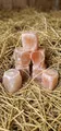 Excellent Horse Himalaya Salzleckstein Pferd 6er Set je 2-3 kg Mineralleckstein