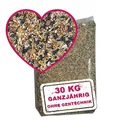MeinWildvogel - Wildvogel-Vital - Premium Vogelfutter 30 kg XXL - Wildvogelfutter - Streufutter - Ganzjahresfutter für Vögel mit Sonnenblumenkernen & Erdnüssen - Gentechnikfrei & Ambrosia-kontrolliert