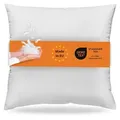 sleepling – Kopfkissen, 80 x 80 cm, Federkissen, Daunenkissen, 100% Daunen & Federn, 60 Grad waschbar, 100% Baumwolle, weiß - Weiß