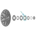 SHIMANO Ritzel für CS-LG700 - 13 Zähne - Silber