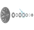Shimano CS-Lg700 Ritzel, Silver/Black, 13 Zähne