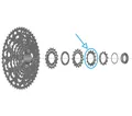 SHIMANO FAHRRADRITZEL CS-LG700 13Z