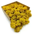 Rentierflechte – Finnisch – Gereinigt – Gelb – 250 G Netto