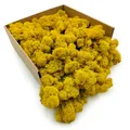 Rentierflechte - Finnisch - Gereinigt - Gelb - 250 g netto