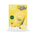 Sun Lolly Ananas Wassereis 8x60ml zum Selbsteinfrieren Packung 480ml