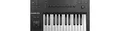 Native Instruments KOMPLETE KONTROL A25